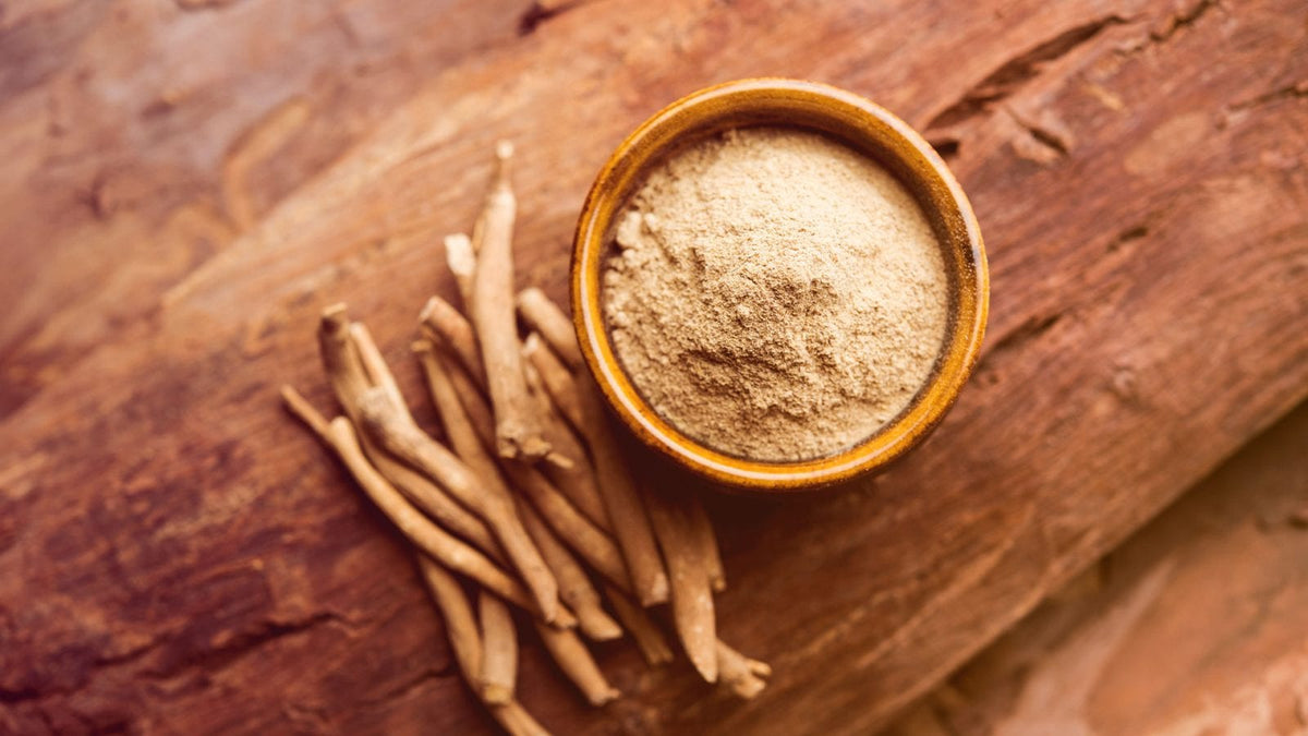 Ashwagandha-Pulver in einer Tonschüssel. Daneben befinden sich mehrere getrocknete Ashwagandha-Wurzeln.