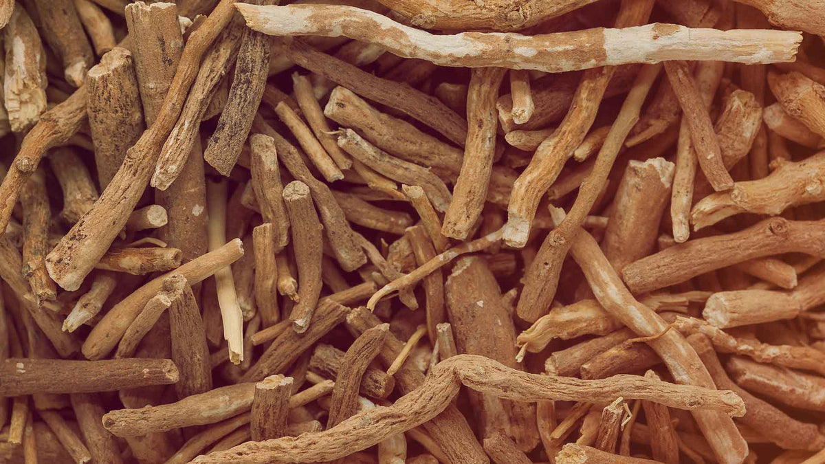 Nahaufnahme von getrockneten Ashwagandhawurzeln