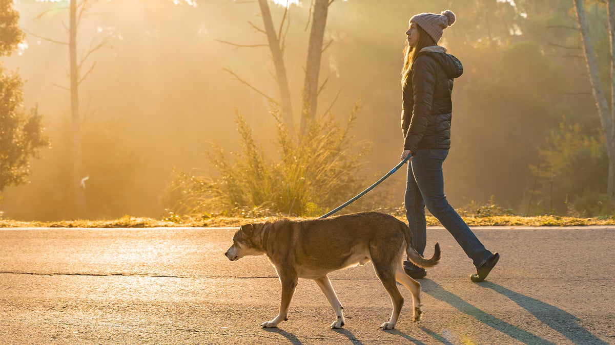 Eine junge Frau geht bei Herbstwetter mit ihrem Hund spazieren.