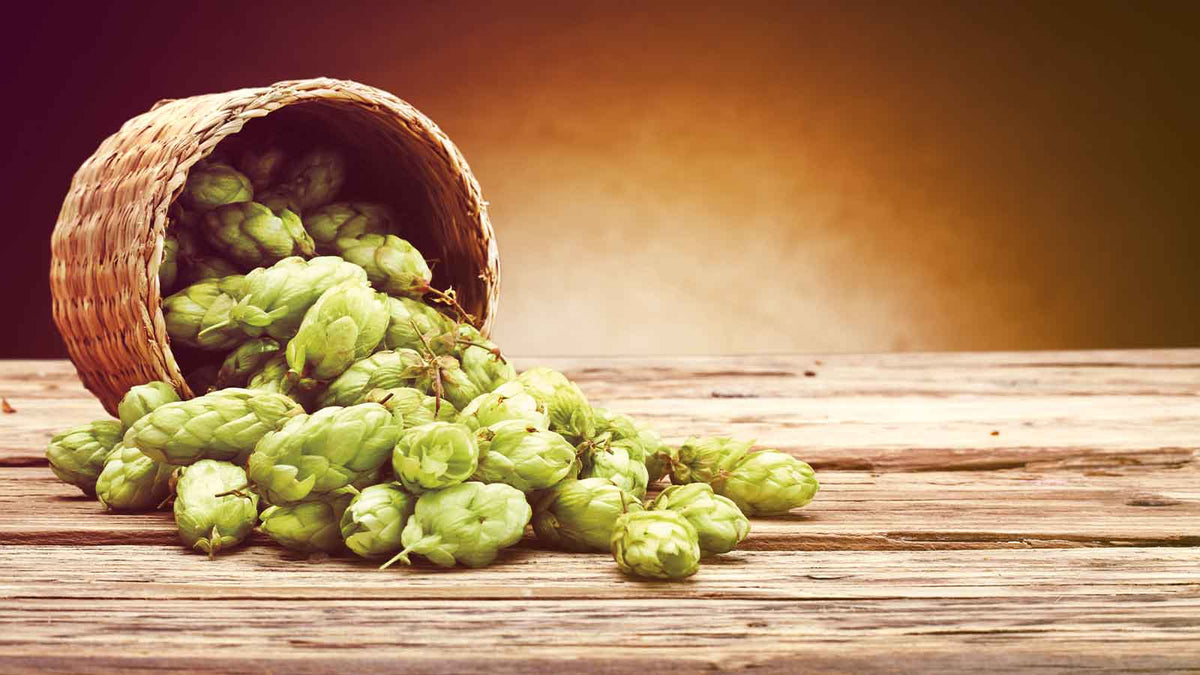 Ein Korb, der seitlich liegt und aus dem Hopfenzapfen fallen