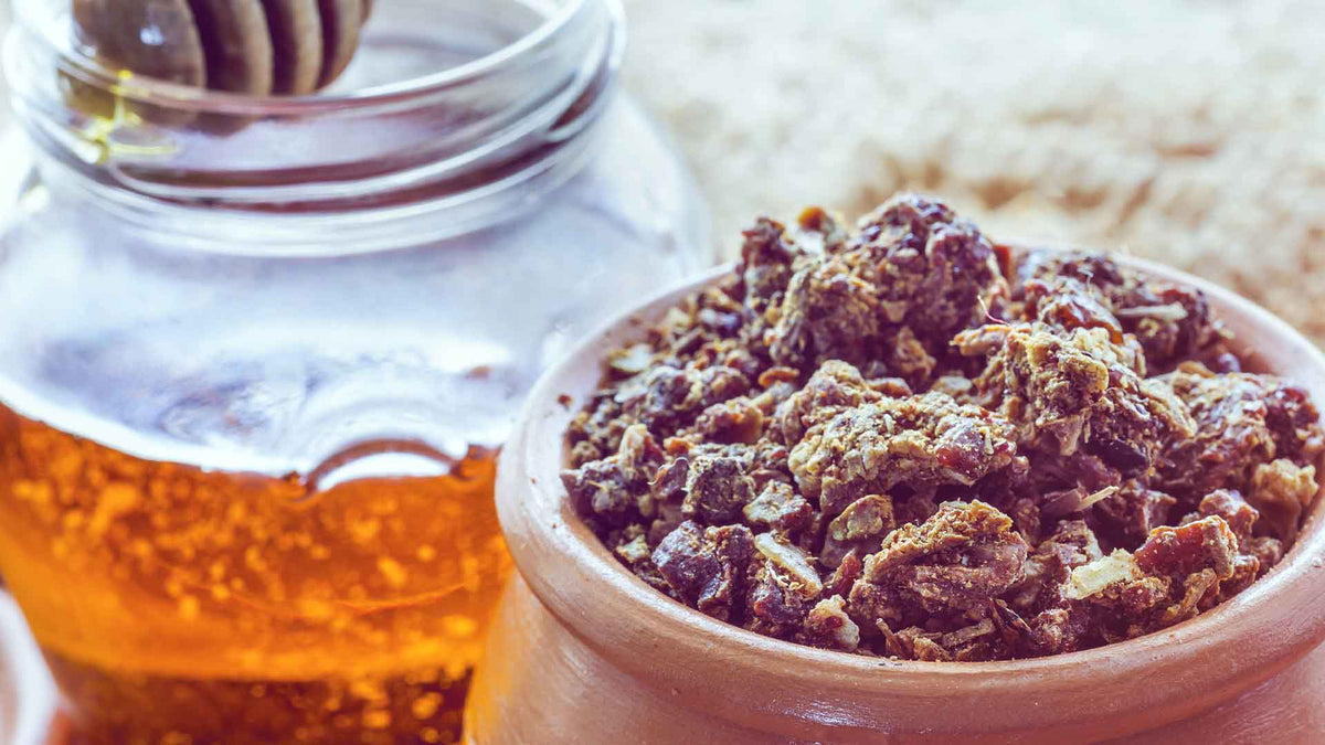 Links ein Honigbild, rechts eine Schüssel mit Propolis