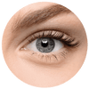 Nahaufnahme eines blau-grauen Auges einer Frau. Dichte, geschwungene Wimpern