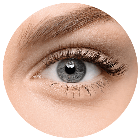 Nahaufnahme eines blau-grauen Auges einer Frau. Dichte, geschwungene Wimpern