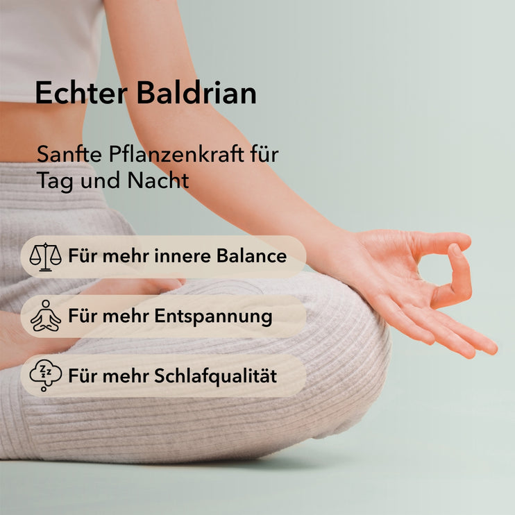 Produktinformationen zu Baldrian Kapseln wie Echter Baldrian, sanfte Pflanzenkraft für Tag und Nacht, für mehr innere Balance, für mehr Entspannung, für mehr Schlafqualität.
