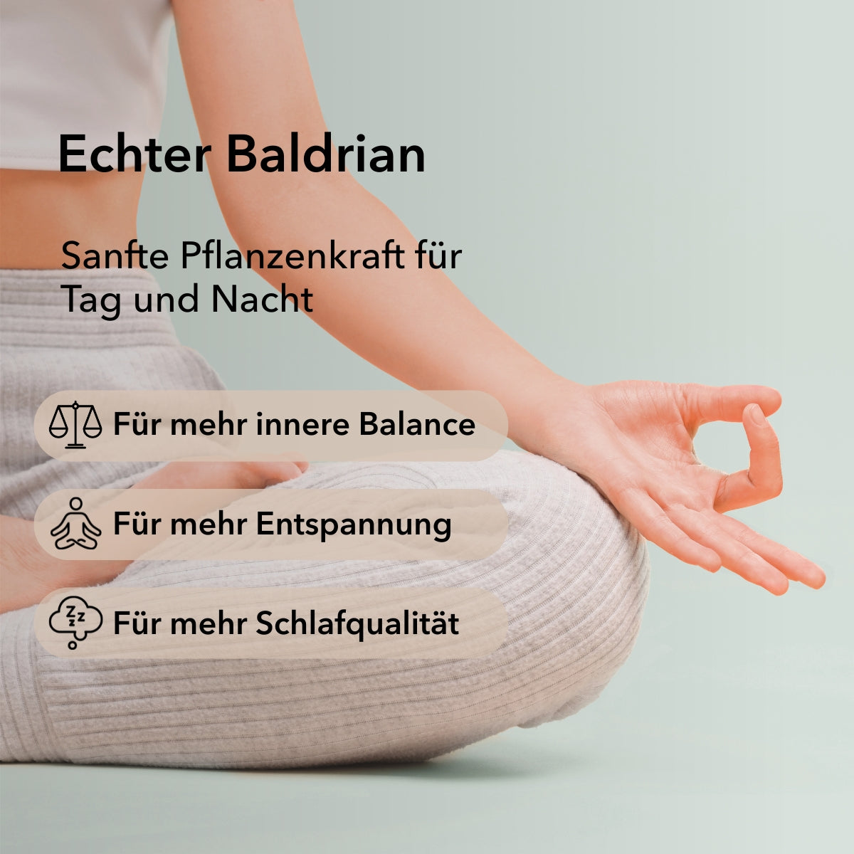 Produktinformationen zu Baldrian Kapseln wie Echter Baldrian, sanfte Pflanzenkraft für Tag und Nacht, für mehr innere Balance, für mehr Entspannung, für mehr Schlafqualität.
