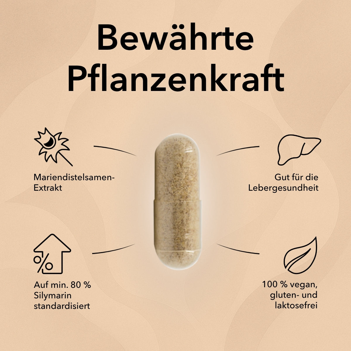 Die Kapsel von Mariendistel mit Produktinformationen dazu mit folgendem Text: Mariendistelsamen-Extrakt, auf mind. 80 % Silymarin standardisiert, gut für die Lebergesundheit, 100% vegan, gluten- und laktosefrei, pflanzliches Mittel für die Leber