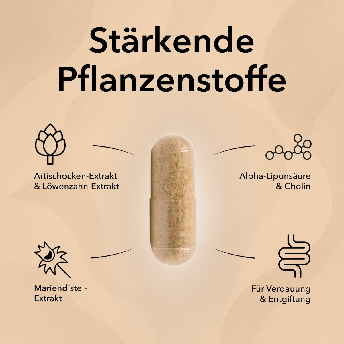Produktinformationen zu Nobilin Leber Vital: Artischoken-Extrakt, Löwenzahn-Extrakt Alpha-Liponsäure, Cholin, Mariendistel-Extrakt. Gut für die Verdauung und Entgiftung. Die Kapsel von Nobilin Gelenk Complex in der Mitte