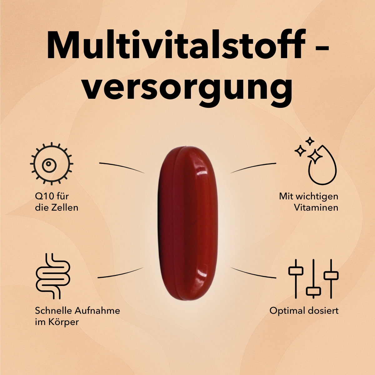 Nobilin Q10 Multivitamin®, Produktinformationen, 1 Kapsel am Tag und optimal versorgt mit wichtigen Vitalstoffen