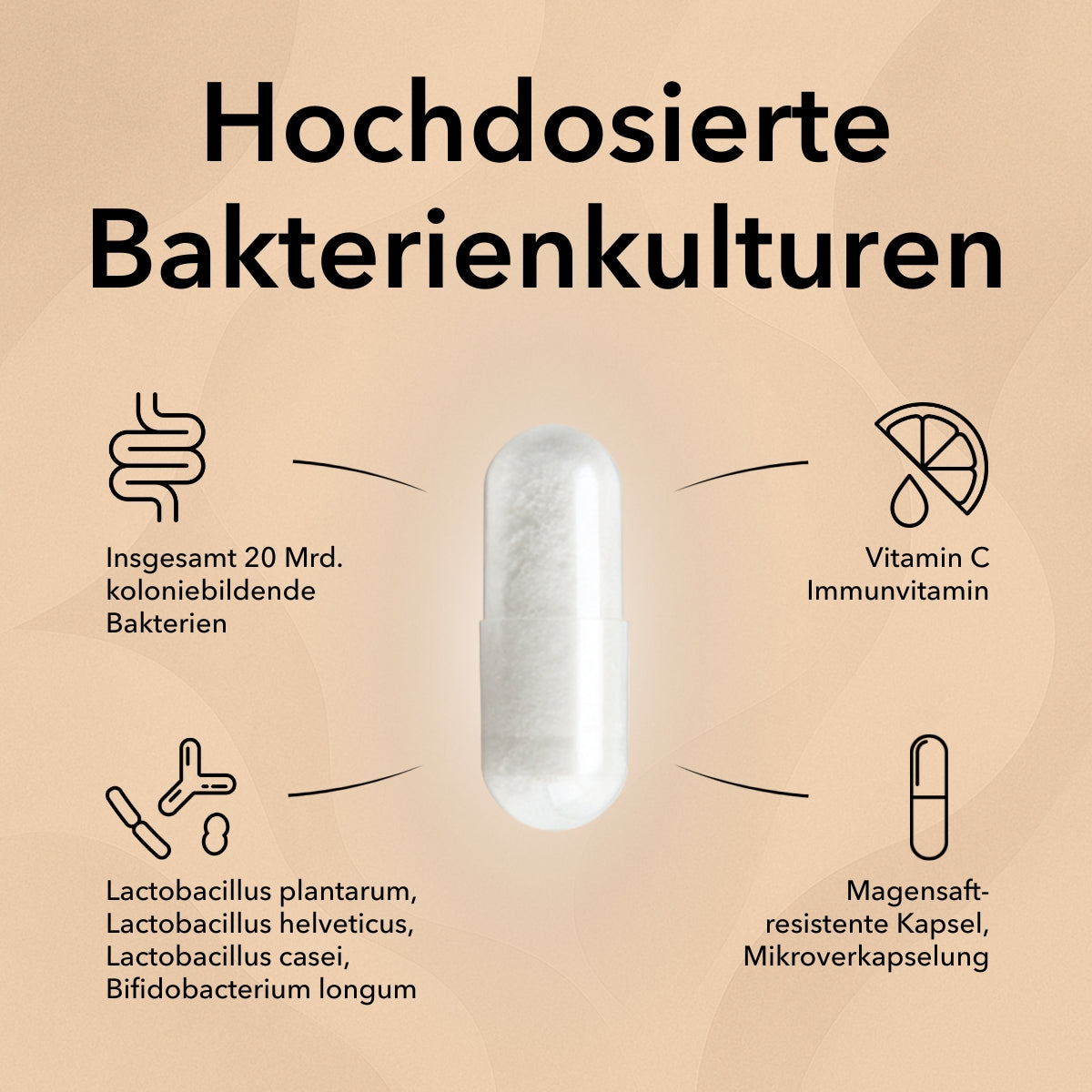 Produktinformationen zu ProMental mit diesen Informationen:
Starke Kombination: Milchsäurebakterien & Vitamin B6
Natürlich und wirksam
Bulletpoint 1: Bewährte Milchsäurebakterien – insgesamt 20 Mrd. KBE
Bulletpoint 2: Optimale Kombination mit Gehirn-Vitamin B6
Bulletpoint 3: Ganzheitliche Unterstützung
Verzehrempfehlung und rechts im Bild eine Hand mit Kapsel