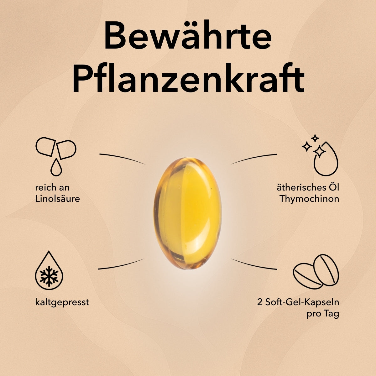 Die Soft-Gel_Kapsel von Schwarzkümmelöl mit Produktinforrmationen: kaltgepresst und Tagesdosis etc.