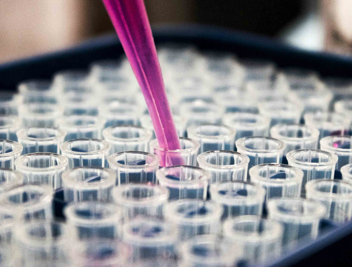 Reagenz-Gläser und eine Pipette mit einer pinklila Flüssigkeit