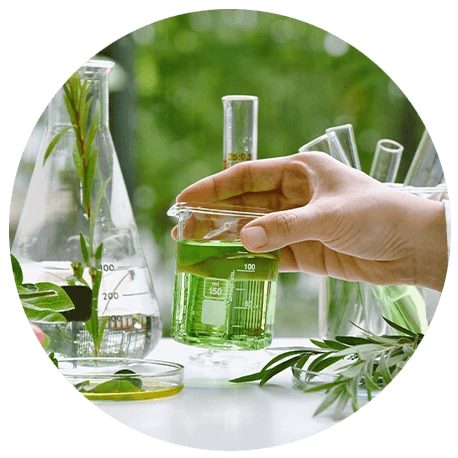 Eine Hand hält einen Becher mit grüner Flüssigkeit inmitten von Laborglas und grünen Pflanzen auf einer weißen Fläche.