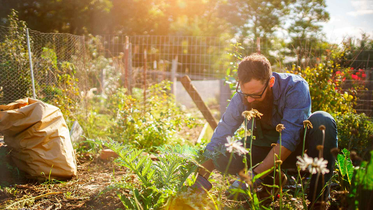 Ein junger Mann mit Bart ist mit Gartenarbeit beschäftigt