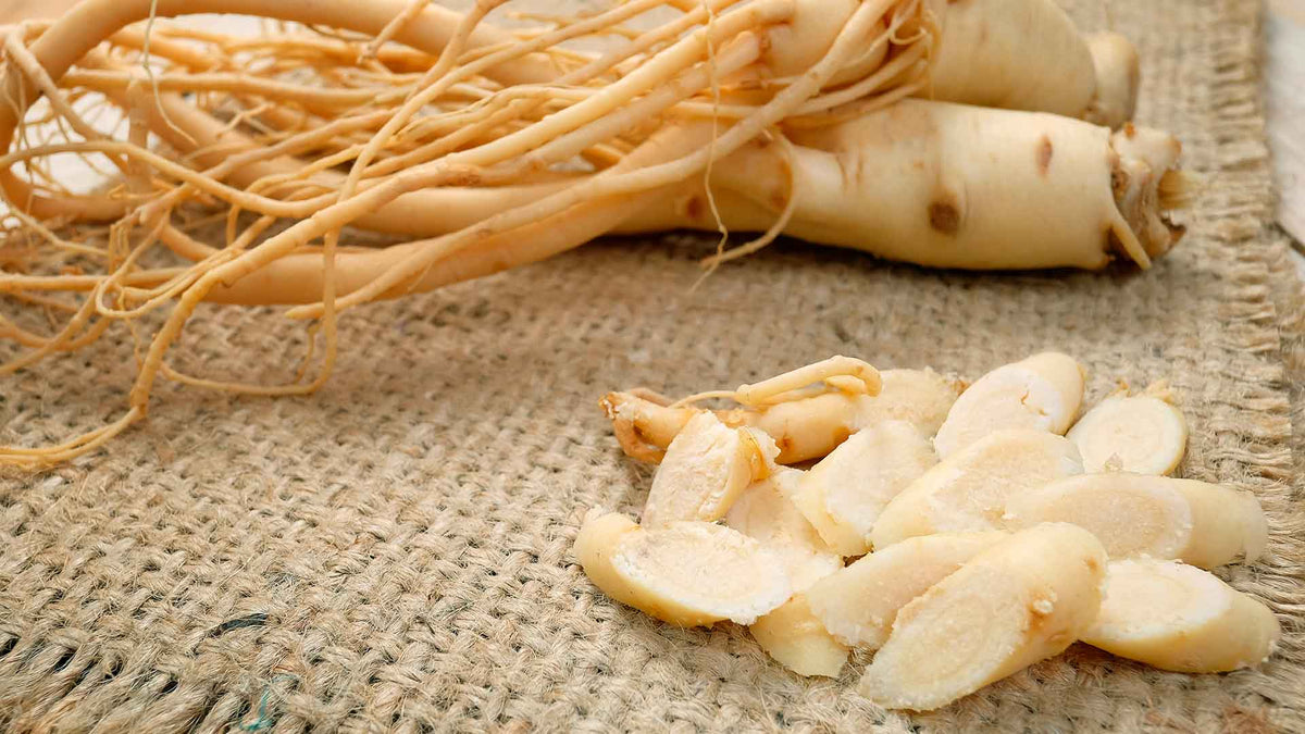 Ginsengwurzeln und Ginseng in Scheiben geschnitten auf einer Yuteunterlage.