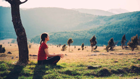 Eine Frau sitz unter einem Baum in einer Weidenlandschaft mit Bergen im Hintergrund und meditiert