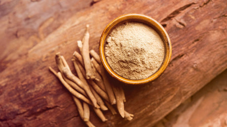 Ashwagandha-Pulver in einer Tonschüssel. Daneben befinden sich mehrere getrocknete Ashwagandha-Wurzeln.