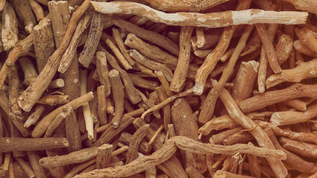 Nahaufnahme von getrockneten Ashwagandhawurzeln