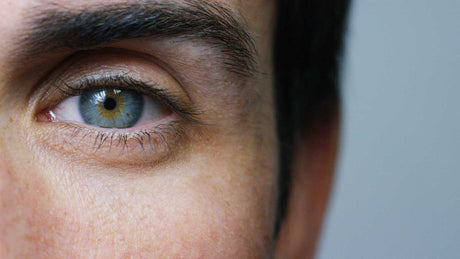 Nachaufnahme eines männlichen Gesichts. Das linke Auge eines Mannes mit blau-gelben Augen.