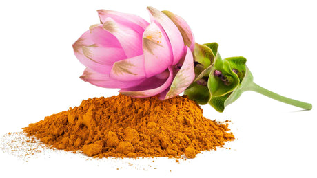 Orangegelbes Curcuma-Pulver und die rosa Blüte der Curcumapflanze aus dem Ayurveda.