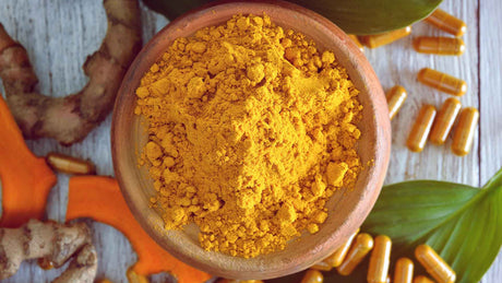 Curcuma-Pulver in einer Schüssel, Curcumaknollen und Curcumakapseln