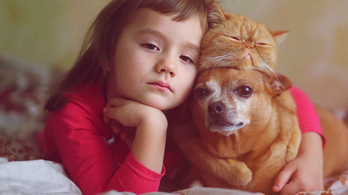 Ein kleines Mädchen umarmt ihren Hund und ihre Katze.