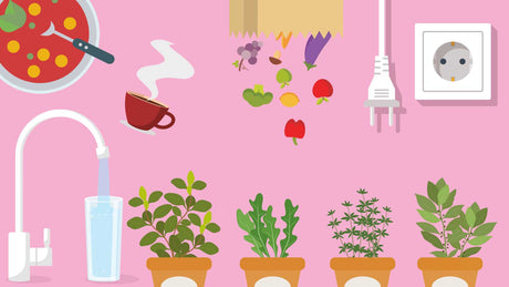 Bunte Illustration mit Kräutern, Steckdose, Wasserhahn, Kaffeetasse und Pizza.