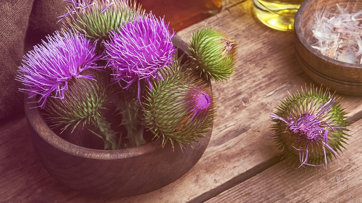 Mariendistelblüten in einer Schale auf einer Holzunterlage