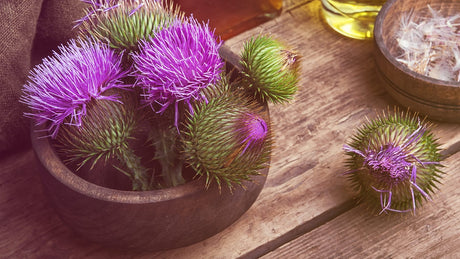 Mariendistelblüten in einer Schale auf einer Holzunterlage