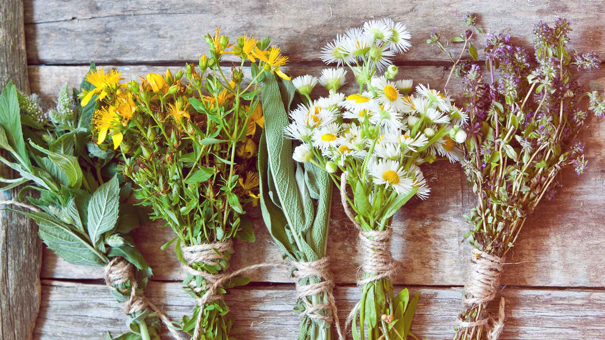 5 Bündel mit Kräutern und Blumen wie Lavendel