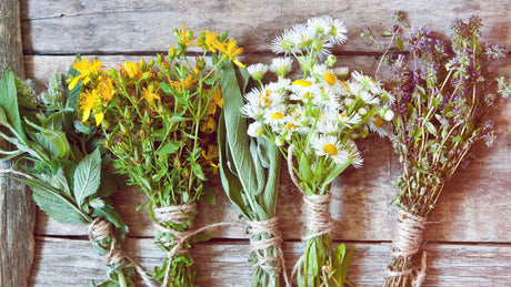 5 Bündel mit Kräutern und Blumen wie Lavendel