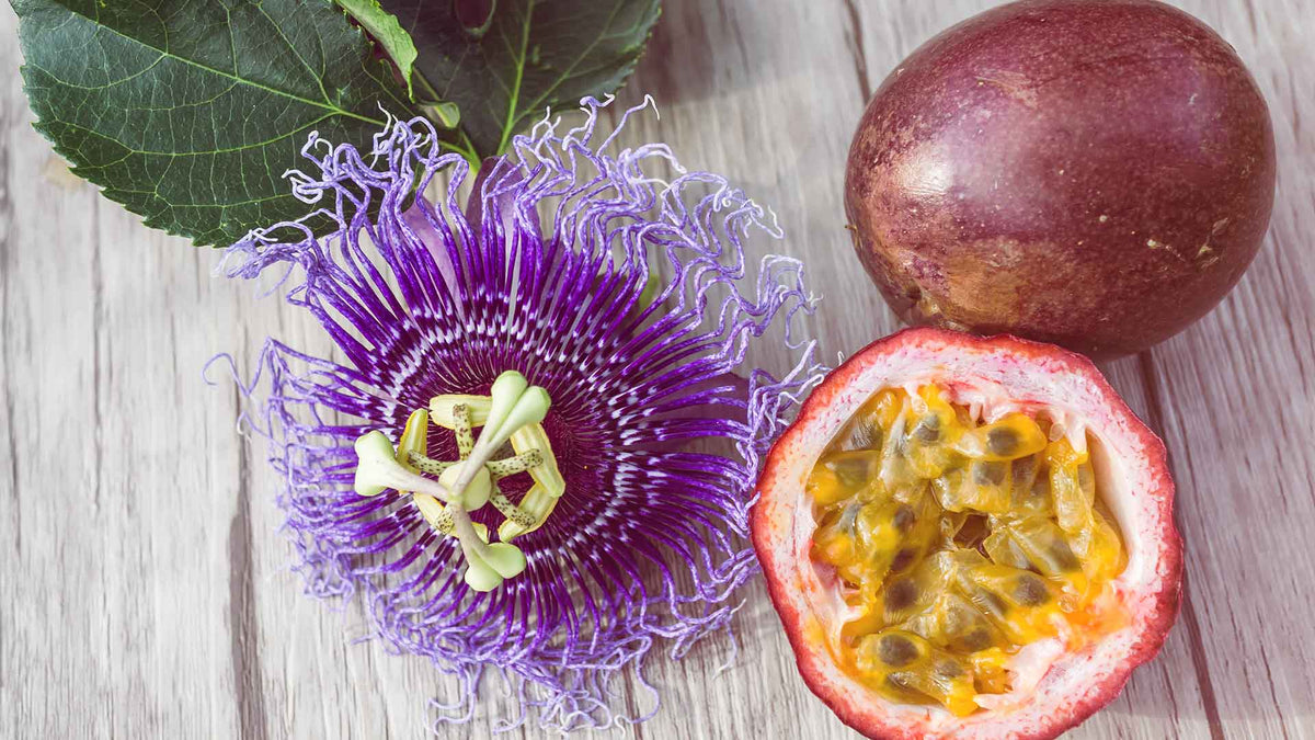 Eine schöne lila gelbe Passionsblume neben einer  halben Maracujafrucht