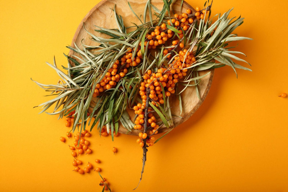 Auf einem rustikalen Holztablett auf gelb orangenem Hintergrund sind  Sanddornbeeren, Sanddornblätter und Zweige schön angeordnet