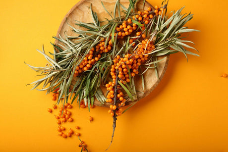 Auf einem rustikalen Holztablett auf gelb orangenem Hintergrund sind  Sanddornbeeren, Sanddornblätter und Zweige schön angeordnet