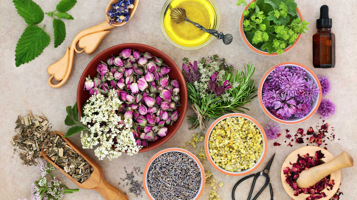 Verschiedene Pflanzenblätter und Blüten in Schüsseln, Holzschaufeln und dekorativ zusammengestellt