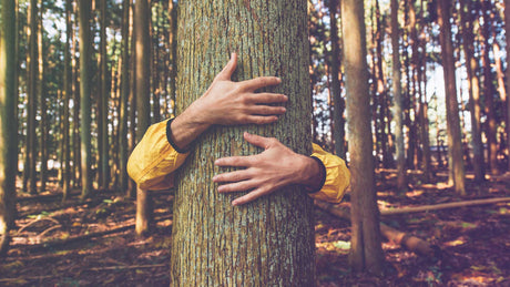 Arme umarmen einen Baumstamm in einem Wald.