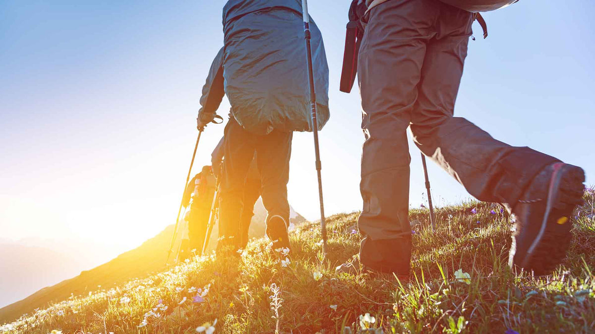 Drei Wanderer mit Wanderstöcken wandern in einer Hügellandschaft