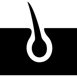 Schwarz-Weiß-Symbol, das eine Haarsträhne zeigt, die aus einem Haarfollikel in der Haut austritt.
