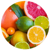 Nahaufnahme von bunten Zitrusfrüchten wie Zitronen, Pampelmuse und Orangen.