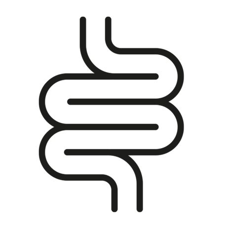 Schwarzes Umriss-Symbol der menschlichen Eingeweide in einem einfachen, stilisierten und minimalistischen Design auf einem weißen Hintergrund.