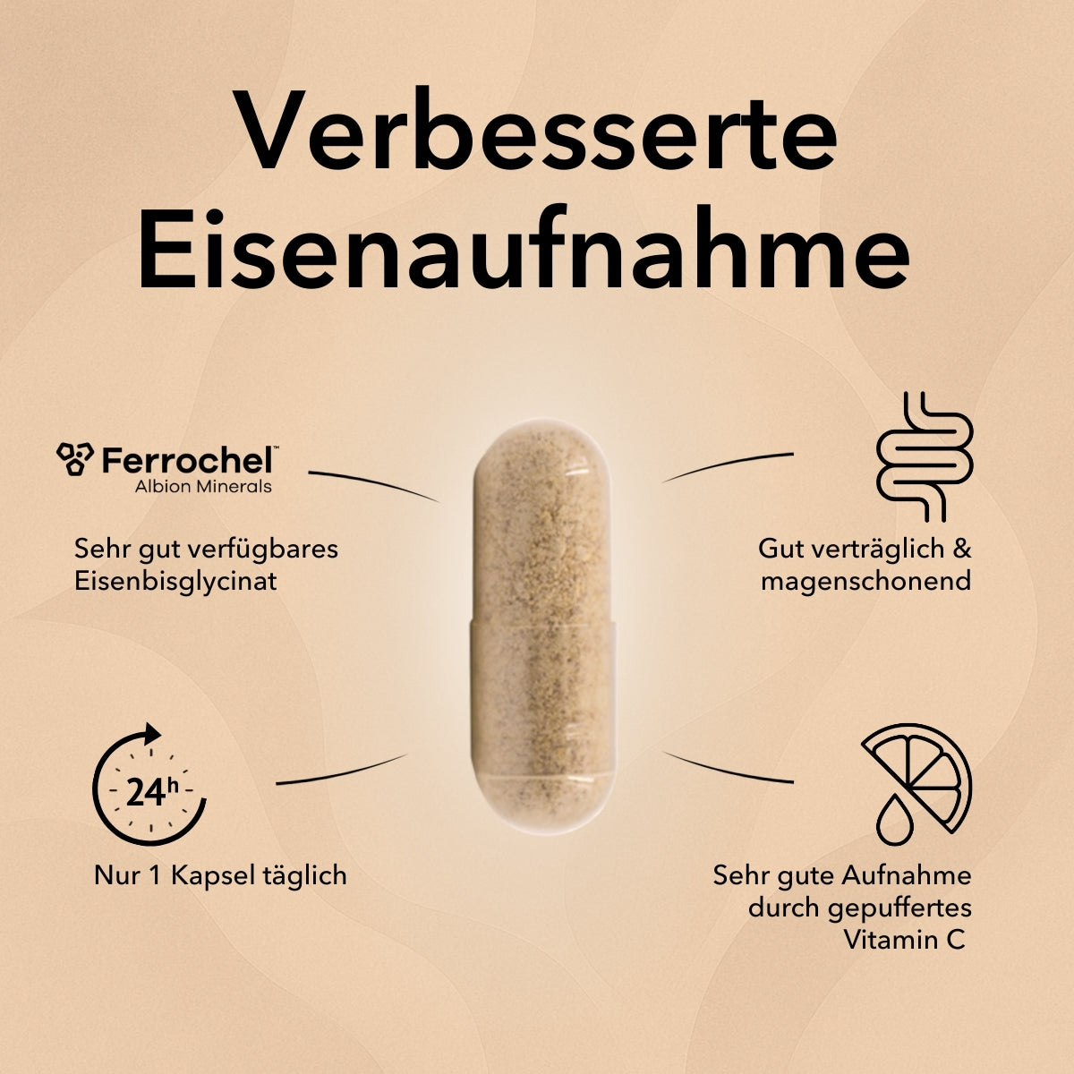 Produktinformationen zu Eisen + Vitamin C Kapseln: Mit Ferrochel® Eisenbisglycinat, gut verträglich und magenschonend, nur 1 Kapsel täglich, sehr gute Aufnahme durch gepuffertes Vitamin C