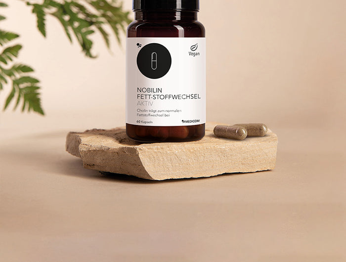 Die Produktdose von Nobilin Fett-Stoffwechsel Aktiv mit zwei Kapseln auf einem Steintablett