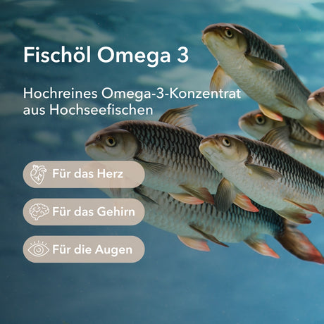Mehrere Fische rechts im Bild. Produktinformationen zu Fischöl Omega 3 von Medicom: Hochreines Omega-3-Konzentrat aus Hochseefischen mit Anwendungsgebieten für das Herz, für das Gehirn und für die Augen