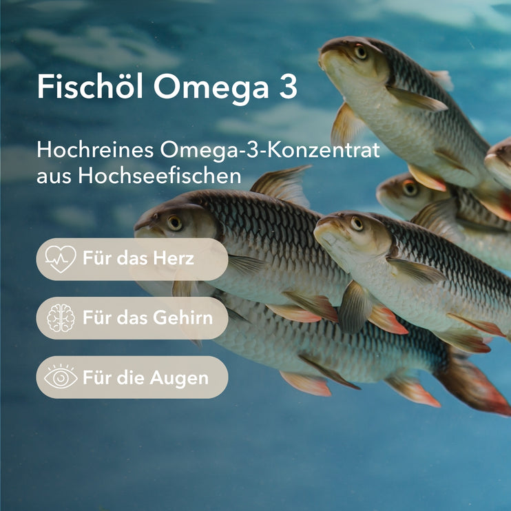 Mehrere Fische rechts im Bild. Produktinformationen zu Fischöl Omega 3 von Medicom: Hochreines Omega-3-Konzentrat aus Hochseefischen mit Anwendungsgebieten für das Herz, für das Gehirn und für die Augen
