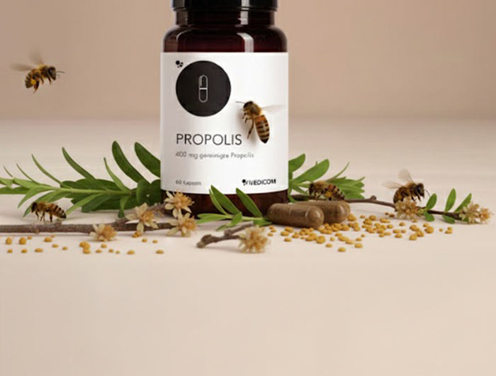 Die Produktdose von Propolis mit Bienen, Propolistückchen und einem grünen Zweig