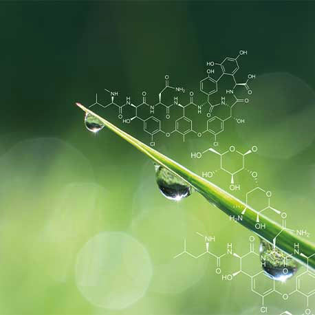 Illustration: Ein Blatt mit Wassertropfen und chemischen Formeln auf grünem Hintergrund.