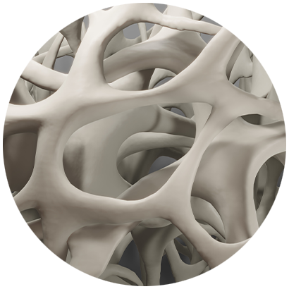 Illustration eines weißen Knochengerüstes