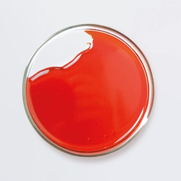 Rotes Krillöl in einer Petrischale