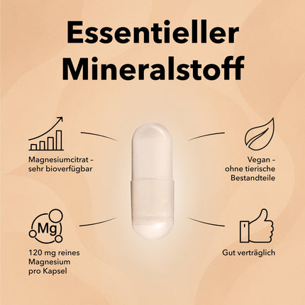 Die Produktdose von Magnesium Citrat Kapseln von Medicom mit zwei Kapseln im Vordergrund und der Angabe 800 mg Magnesiumcitrat pro Kapsel sowie die Anwendungsgebiete von Magnesium Citrat Kapseln: für Muskeln und Nerven