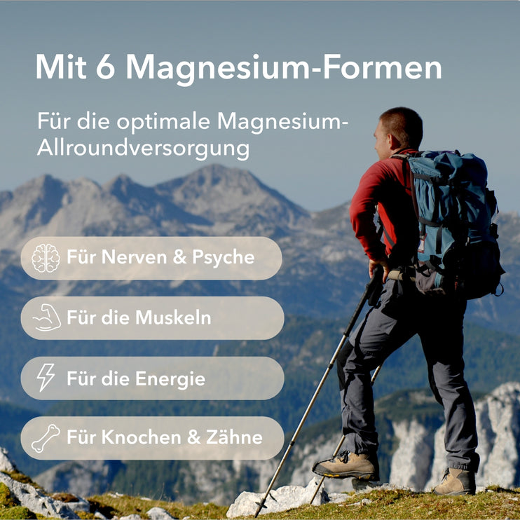 Magnesium Complex mit der Angabe von vier Anwendungsgebieten: Nerven und Psyche, Muskeln, Energie, Knochen und Zähne