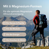 Magnesium Complex mit der Angabe von vier Anwendungsgebieten: Nerven und Psyche, Muskeln, Energie, Knochen und Zähne 